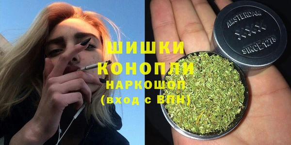 спиды Пересвет