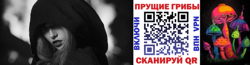 наркота  Отрадная  Галлюциногенные грибы Psilocybe 